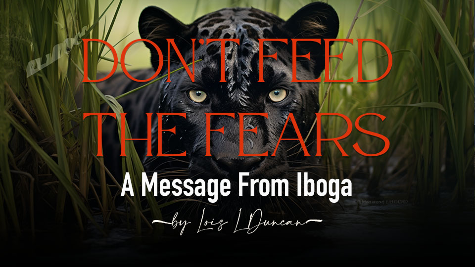 Dont Feed The Fears A message from Iboga by Lois Duncan 